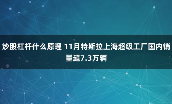 炒股杠杆什么原理 11月特斯拉上海超级工厂国内销量超7.3万辆