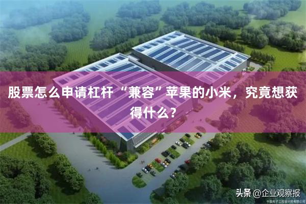股票怎么申请杠杆 “兼容”苹果的小米，究竟想获得什么？