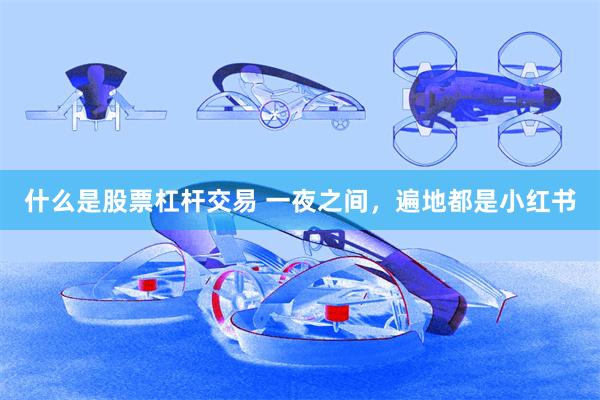 什么是股票杠杆交易 一夜之间，遍地都是小红书