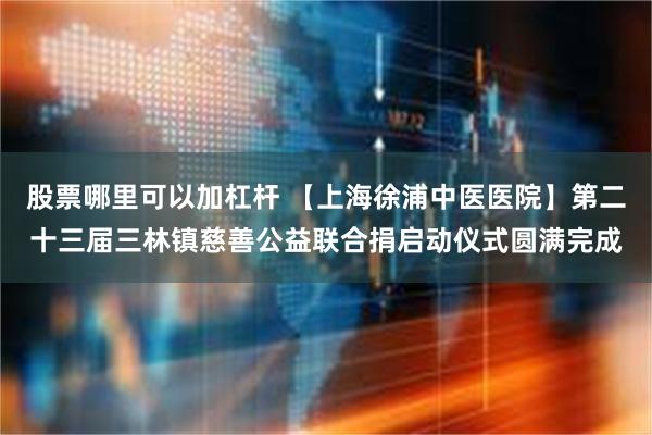 股票哪里可以加杠杆 【上海徐浦中医医院】第二十三届三林镇慈善公益联合捐启动仪式圆满完成