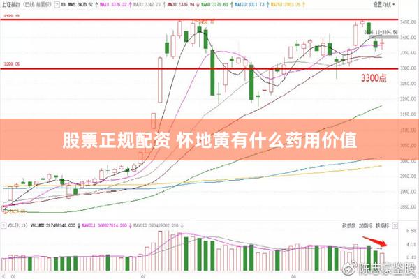 股票正规配资 怀地黄有什么药用价值