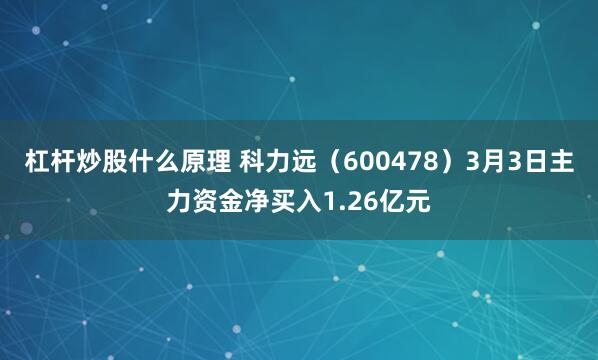 杠杆炒股什么原理 科力远（600478）3月3日主力资金净买入1.26亿元