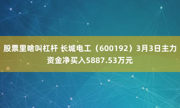 股票里啥叫杠杆 长城电工（600192）3月3日主力资金净买入5887.53万元