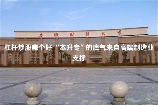 杠杆炒股哪个好 “本升专”的底气来自高端制造业支撑