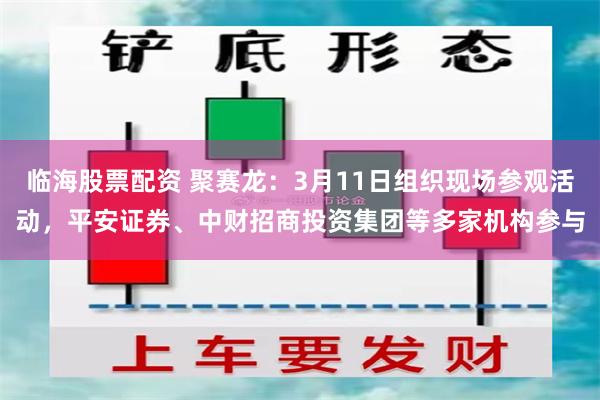 临海股票配资 聚赛龙：3月11日组织现场参观活动，平安证券、中财招商投资集团等多家机构参与