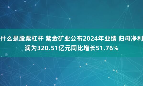 什么是股票杠杆 紫金矿业公布2024年业绩 归母净利润为320.51亿元同比增长51.76%