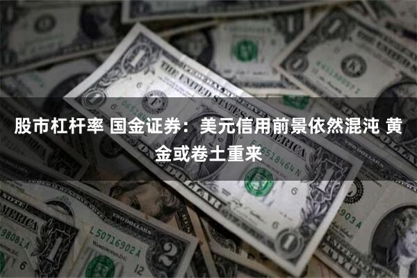 股市杠杆率 国金证券：美元信用前景依然混沌 黄金或卷土重来