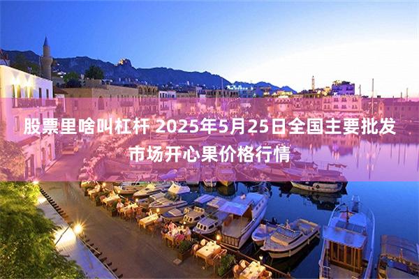 股票里啥叫杠杆 2025年5月25日全国主要批发市场开心果价格行情
