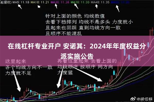 在线杠杆专业开户 安诺其：2024年年度权益分派实施公告