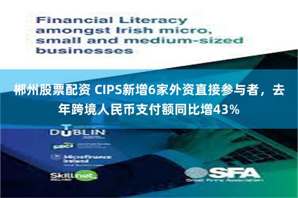 郴州股票配资 CIPS新增6家外资直接参与者，去年跨境人民币支付额同比增43%