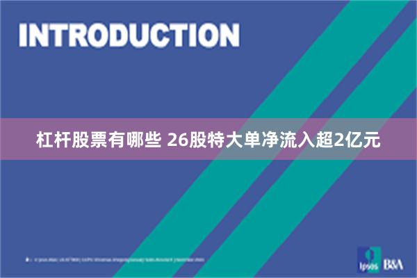 杠杆股票有哪些 26股特大单净流入超2亿元