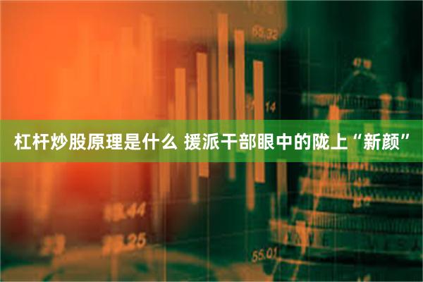 杠杆炒股原理是什么 援派干部眼中的陇上“新颜”