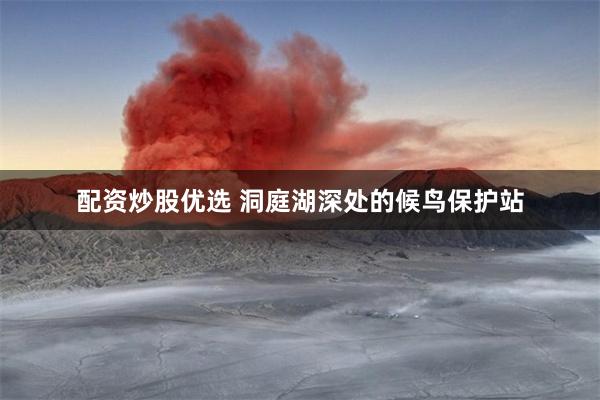 配资炒股优选 洞庭湖深处的候鸟保护站