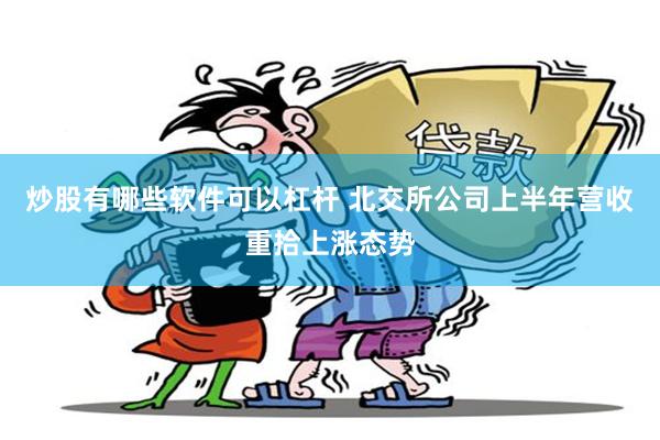 炒股有哪些软件可以杠杆 北交所公司上半年营收重拾上涨态势