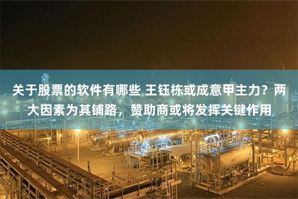 关于股票的软件有哪些 王钰栋或成意甲主力？两大因素为其铺路，赞助商或将发挥关键作用
