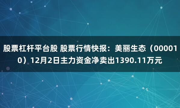 股票杠杆平台股 股票行情快报:美丽生态(000010)12月2日主力资金净卖出1390.11万元