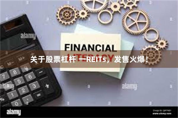 关于股票杠杆 一REITs，发售火爆！